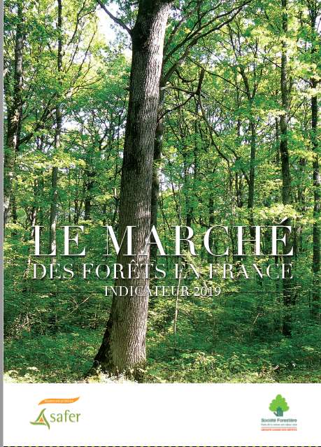 Le marché des forêts en France - Indicateur 2019